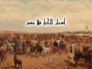 اسعار الخيل في مصر