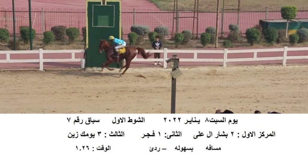 الشوط الاول - الفائزين - سباق خيل عربي أصيل - مهرجان الدكتور عبد الخالق سعفان - موقع خيل مصر