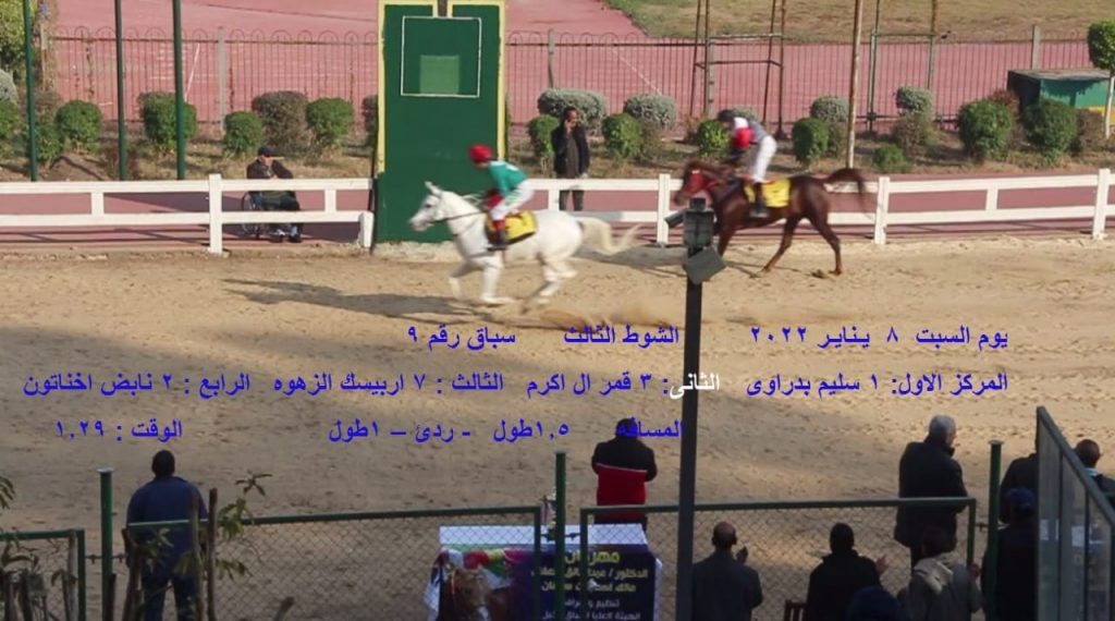 الشوط الثالث - الفائزين - سباق خيل عربي أصيل - مهرجان الدكتور عبد الخالق سعفان - موقع خيل مصر