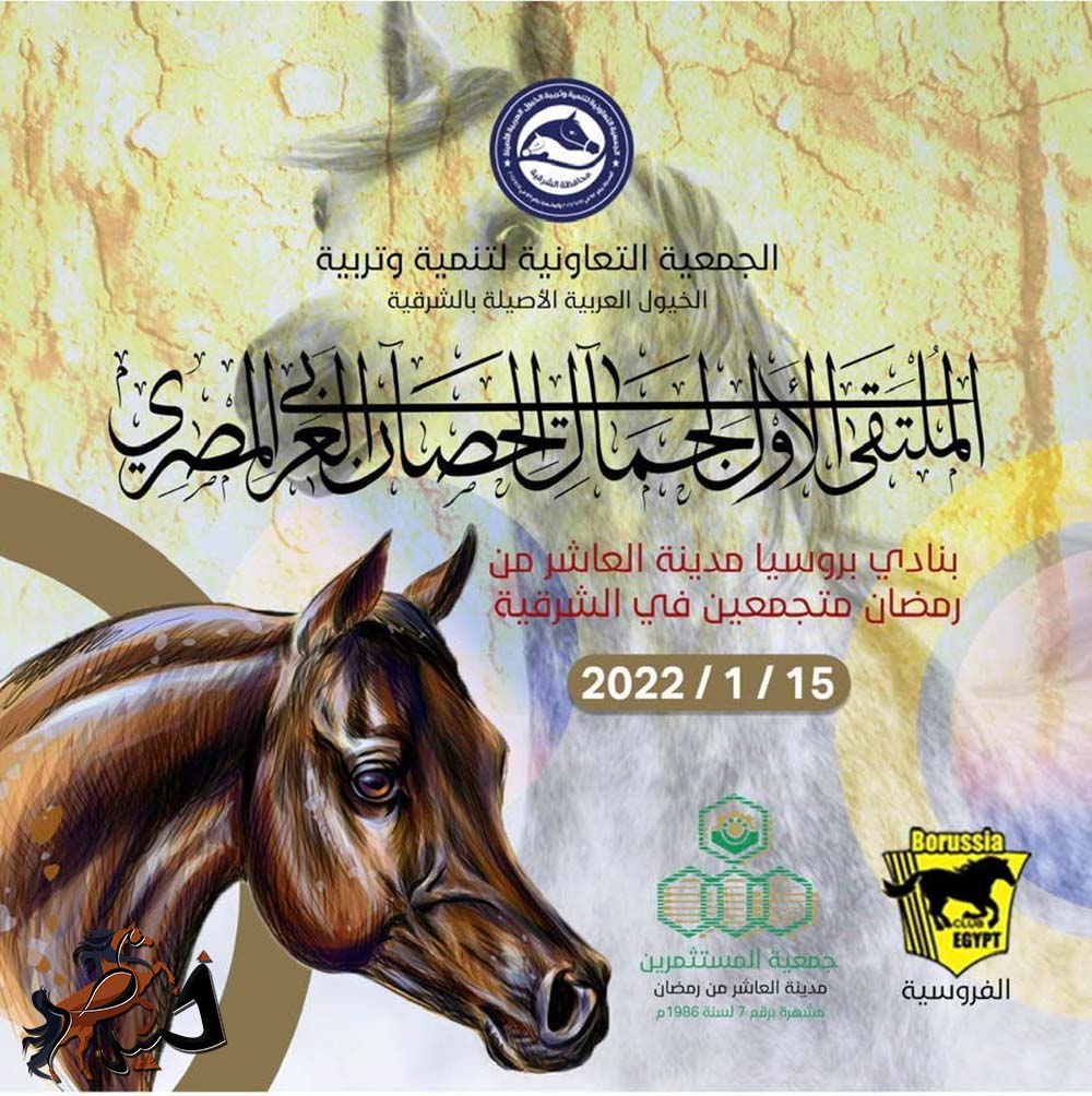 ملتقي جمال الحصان العربي المصري - موقع خيل مصر